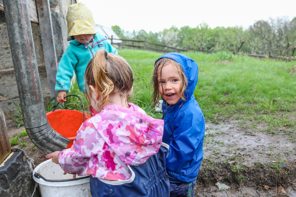 Sprouts at Lakeside School at Black Kettle Farm in Essex