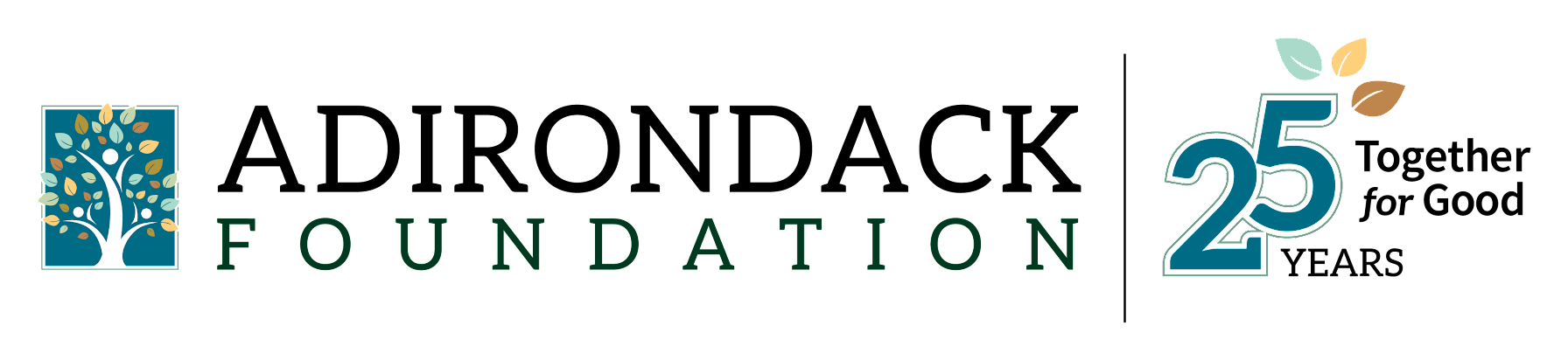 Adirondack Foundation Logo