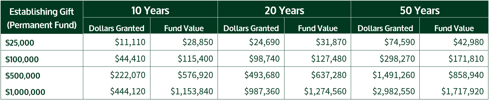 Adirondack Foundation growth chart