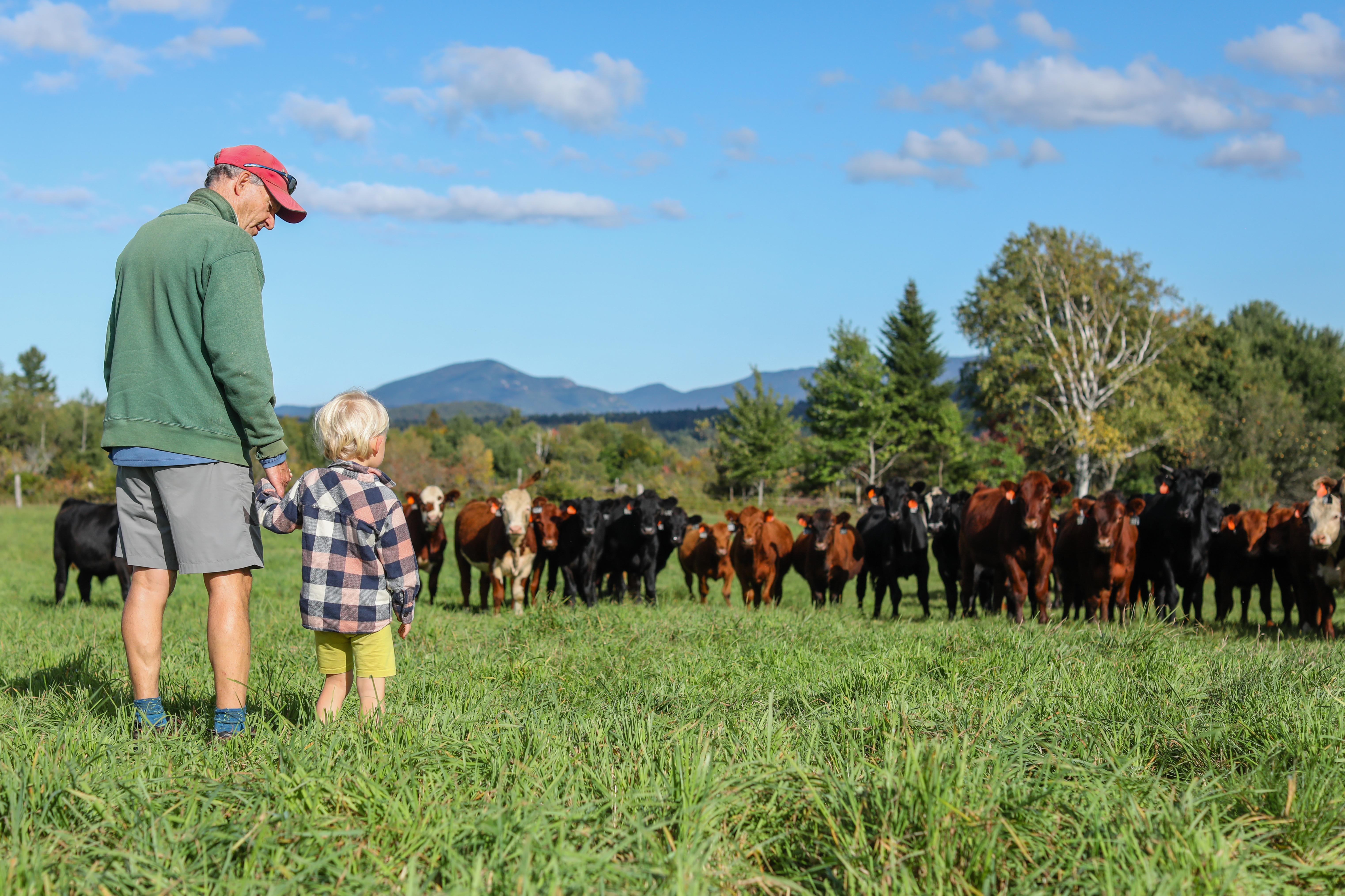 Adirondack Foundation works for today, tomorrow, and always.